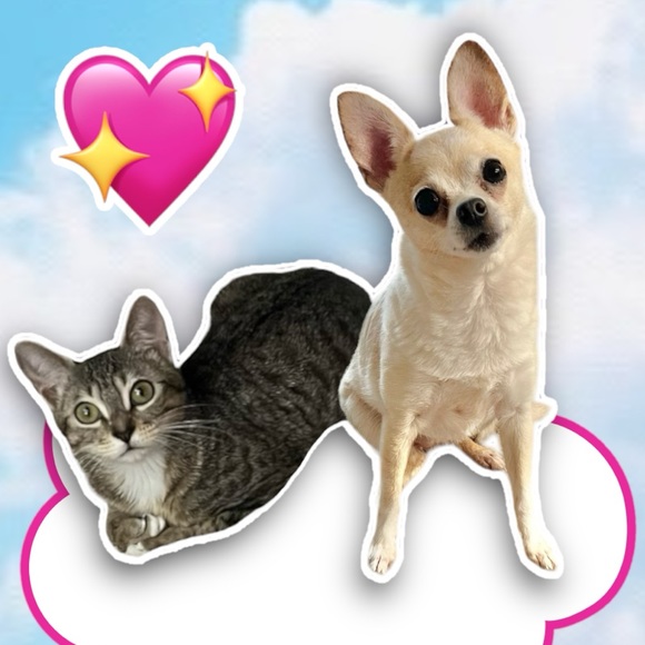 Hi there! 😊 I'm Jillian. - Picture 2 of 3